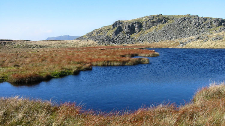 Pool on the S Ridge Pool on the S Ridge