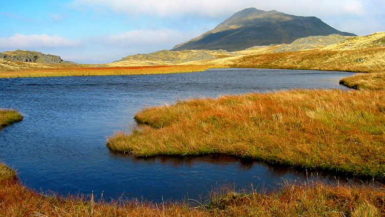 Arenig Fawr from the S ridge Arenig Fawr from the S ridge