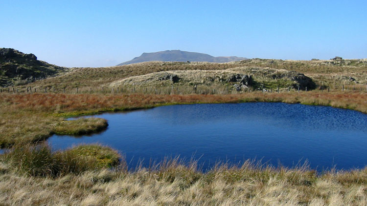 Pool on the S ridge & Moel Llyfnant Pool on the S ridge & Moel Llyfnant