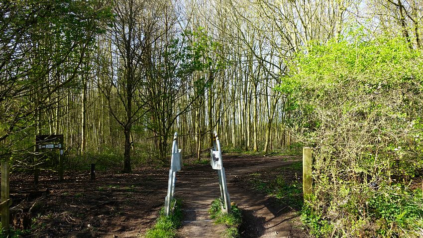 The TPT enters Dainewell Woods on the Carrington estate