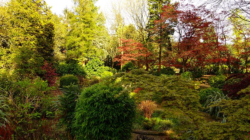 Sunken garden in Denzell grounds