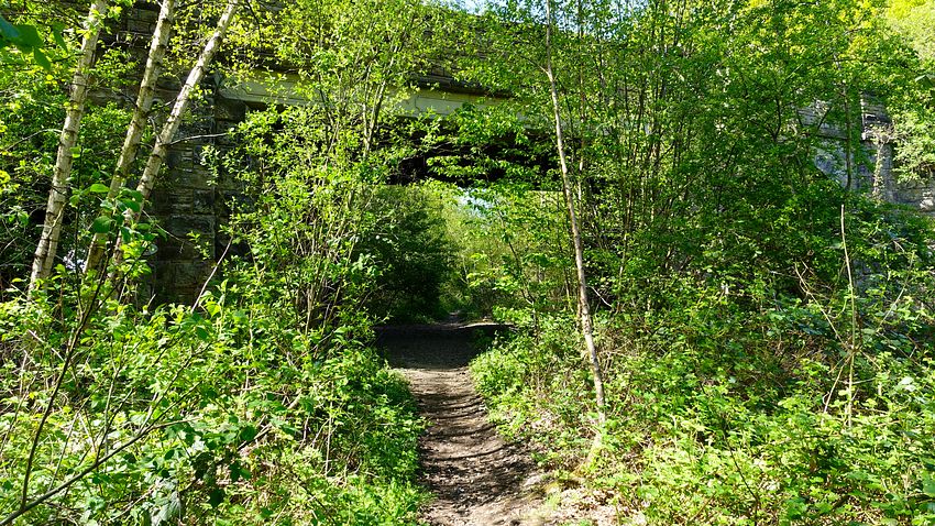 Trackbed and Woodcote Bridge
