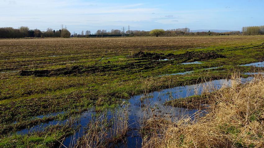 Carrington Moss bogland