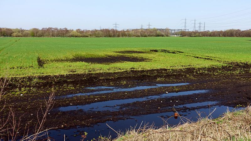 Carrington Moss reclaimed bogland