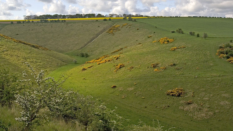 Dale scenery near Millington