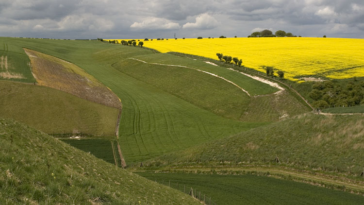 Dale scenery near Folkton Wold