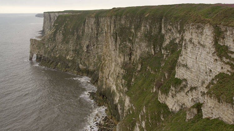 Bempton Cliffs