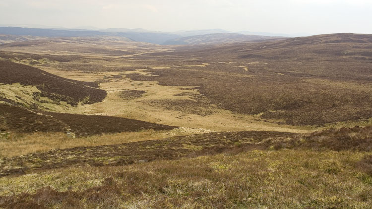 The rough shallow valley of the Hirddu Fawr