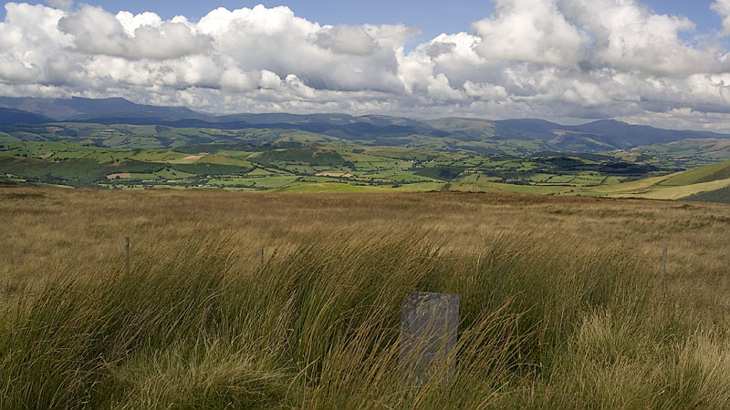 Slate marker stone at the summit of Bryn y Fedwen 