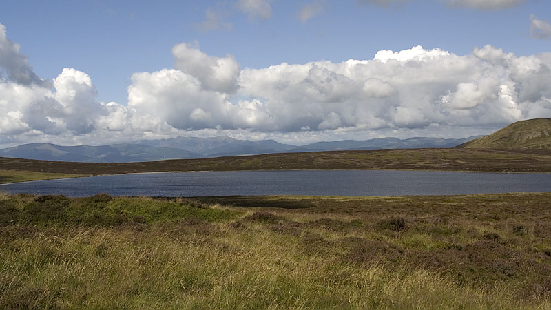 Glaslyn