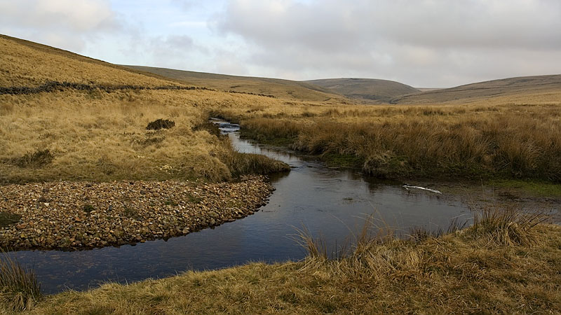 Valley of the Cowsic River at Holming Beam