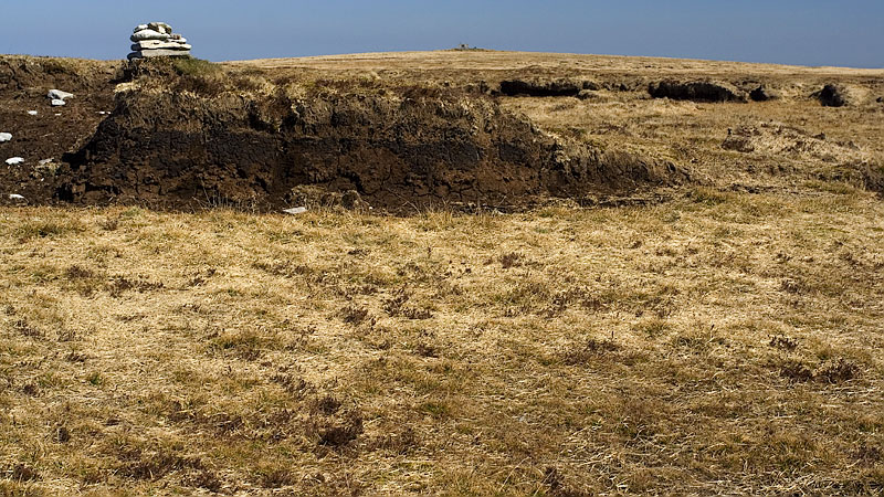 Whitehorse Hill looking towards Hangingstone Hill