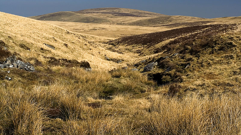 Steeperton Brook and Cosdon Hill