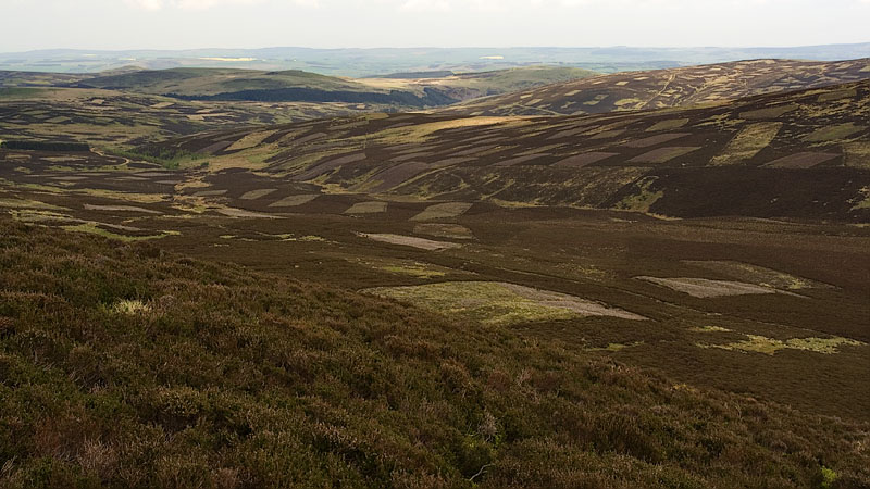 Great Moor heather patchwork from Newton Tors
