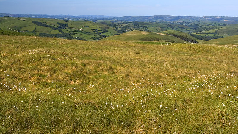 View from Cerrig Gwaun-y-llan