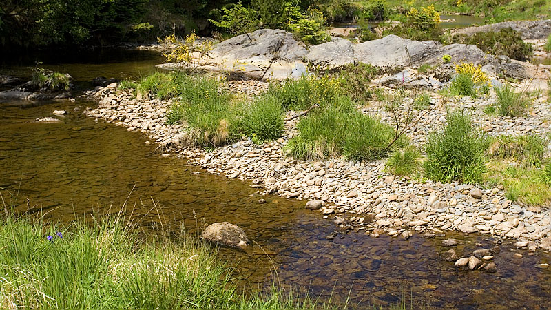The Wye