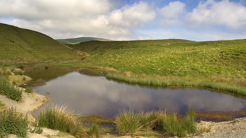 Pool near the hill track