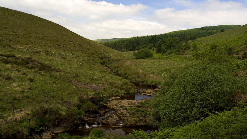 The Afon Bidno valley