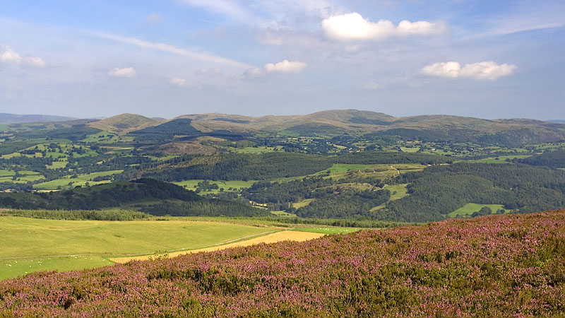 View to the northern Arenigs from Moel Cae-howel