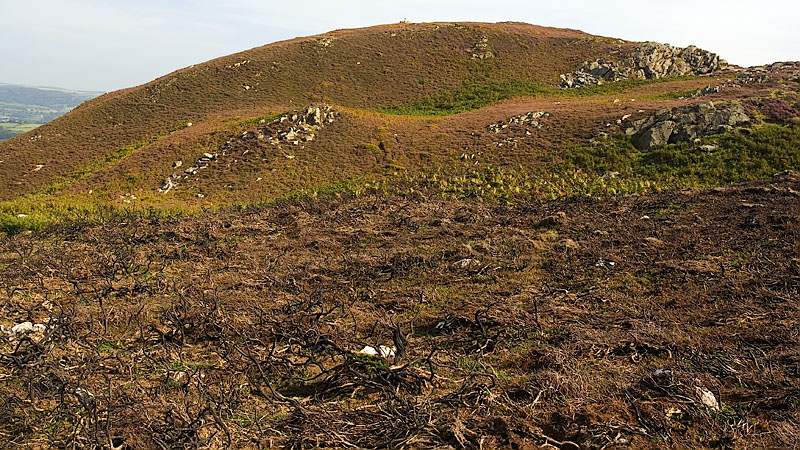 Burnt heather in Sychnant nature reserve