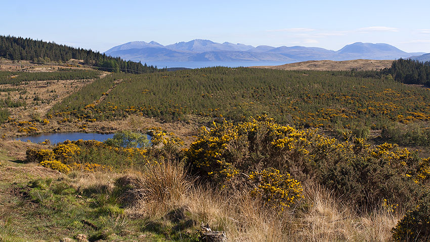 View from the Portavadie path