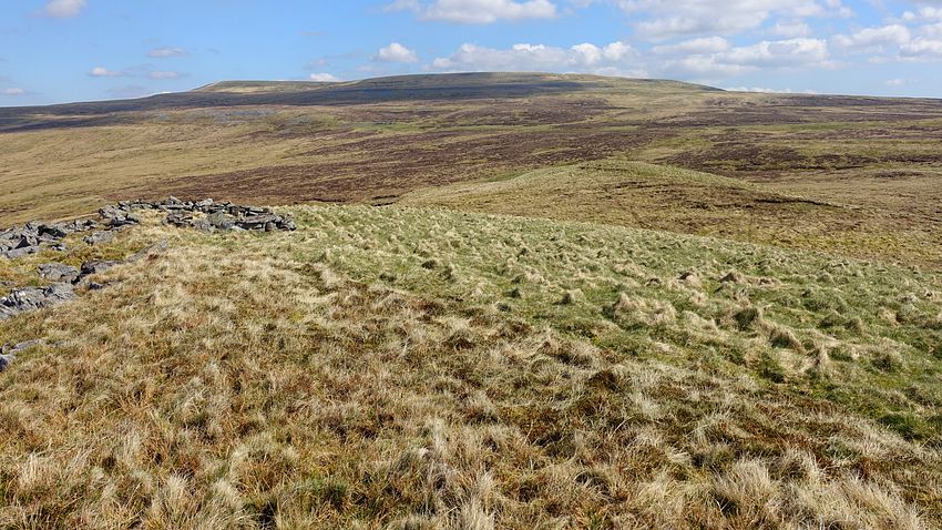 View to Little Fell from Tinside Rigg