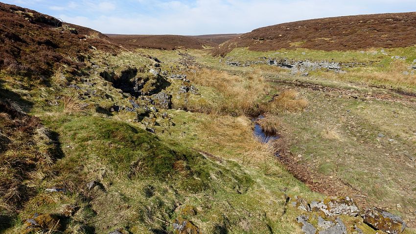 Swarth Beck