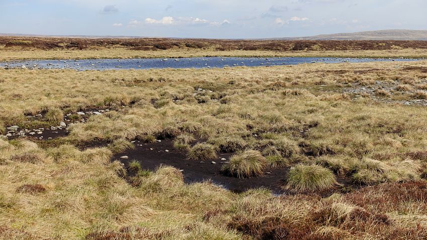 Tarn on Murton Fell