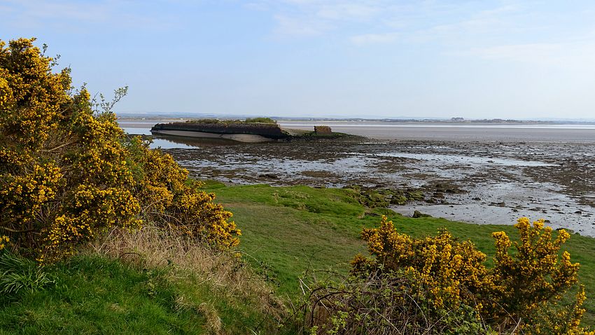 Shore near Port Carlisle
