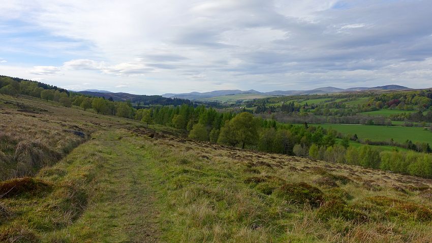 Strathardle view from near Dalnabreck