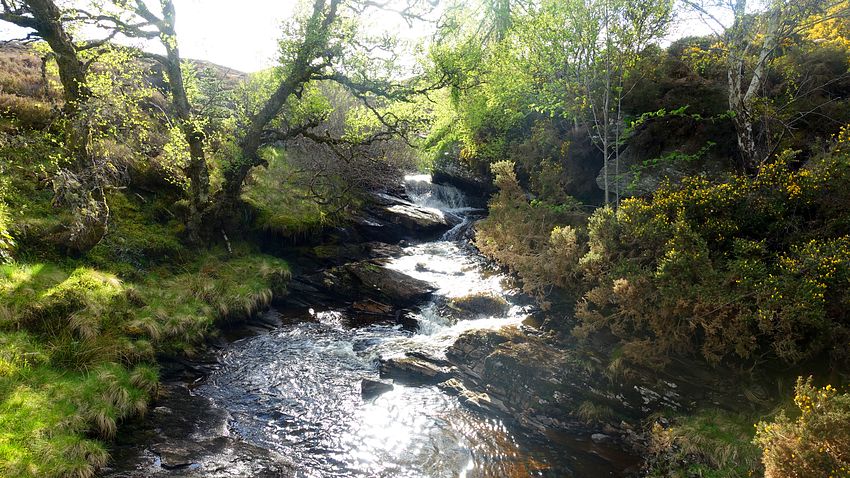 Pitcarmick Burn