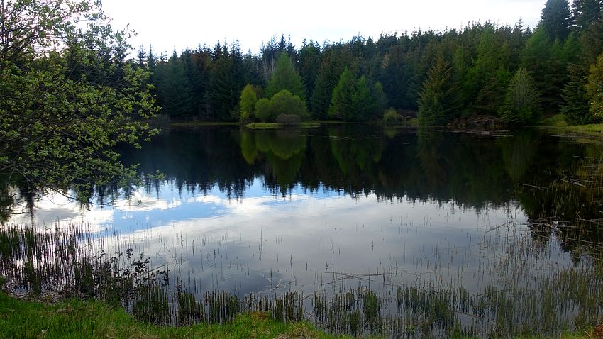 Dalvey Loch