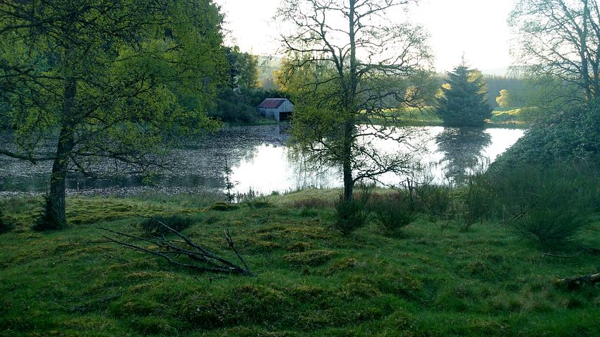 Loch at Loch Cottage