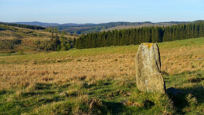 Standing Stone near Elrig