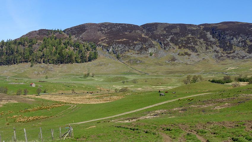 Hills north of Glen Shee