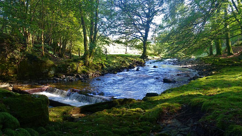 The Afon Wnion at Rhydymain dismantled railway bridge