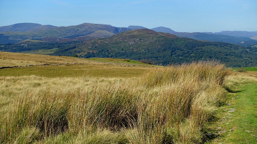 Foel Offrwm & the Rhinogydd from the byway track