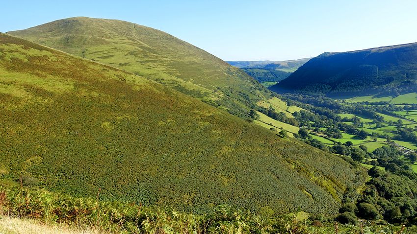 Slope of Y Gribin & Foel Benddin beyond