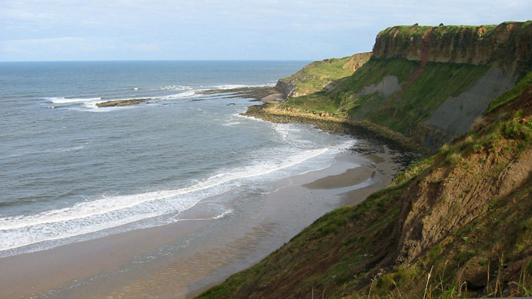 Lebberston Cliff