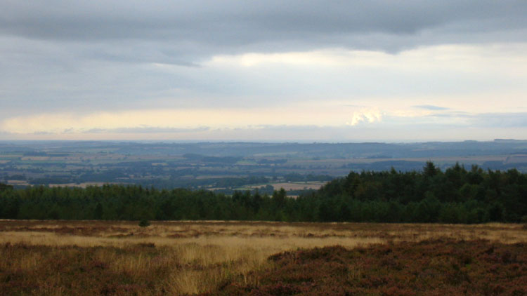 View W from Beadlam Rigg