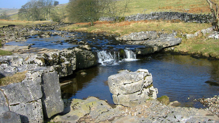The Wharfe & a pied wagtail