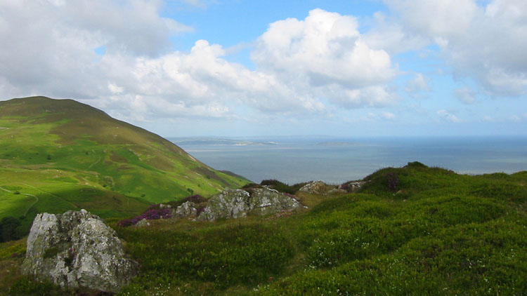 Foel Lus