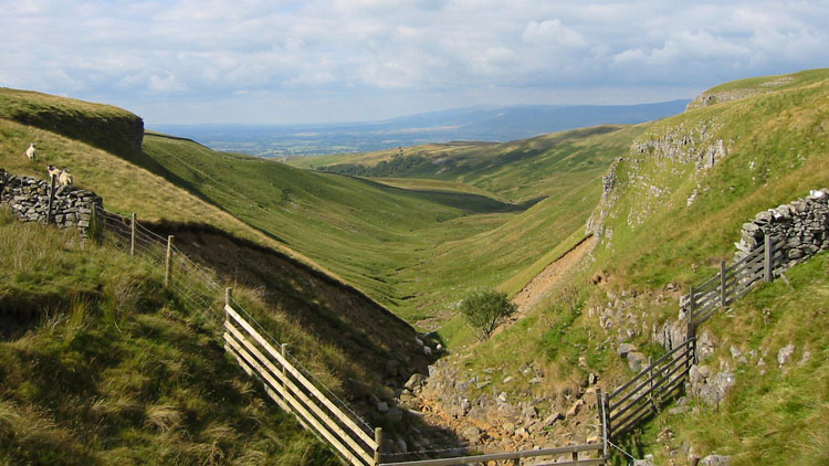 Dukerdale