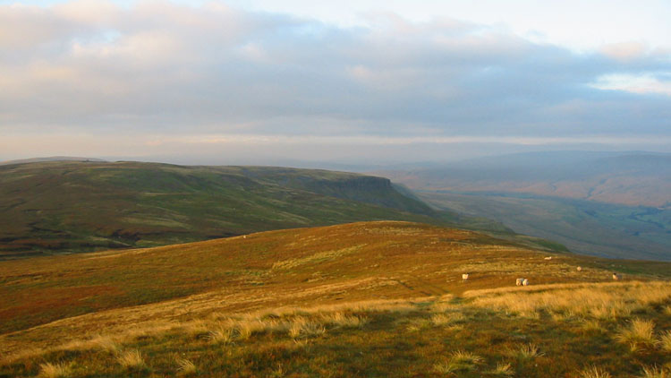 Early morning light on High Seat with Archy Styrigg beyond