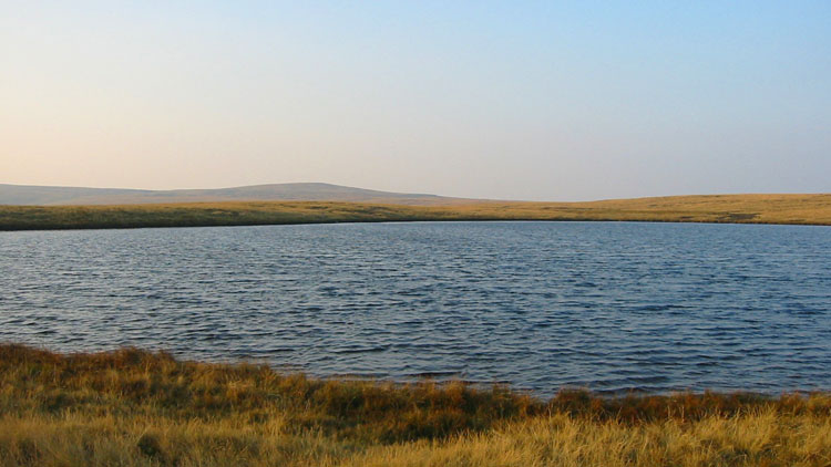 Knoutberry Haw from West Baugh Fell tarn