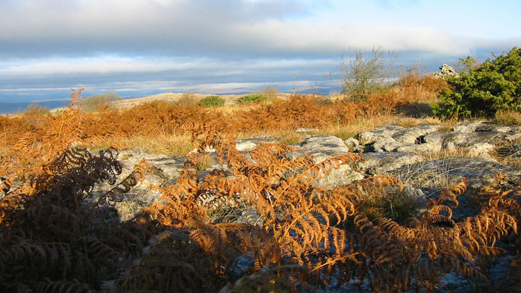Summit of Hutton Roof Crags