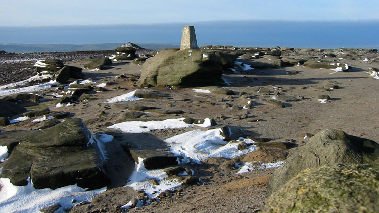 Kinder Low