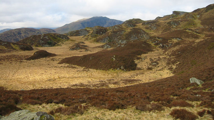Headwaters of the Afon Llewesig with Gallt yr Ogof beyond