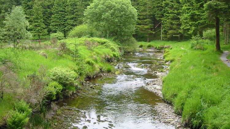 The Severn at Hafren Forest visitor centre
