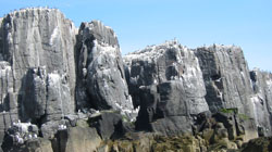 Cliffs & stacks